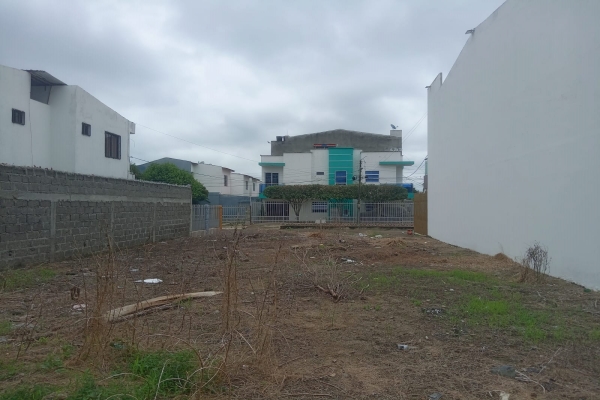 WhatsApp Image 2025-07-14 at 2.51.02 PM.jpeg